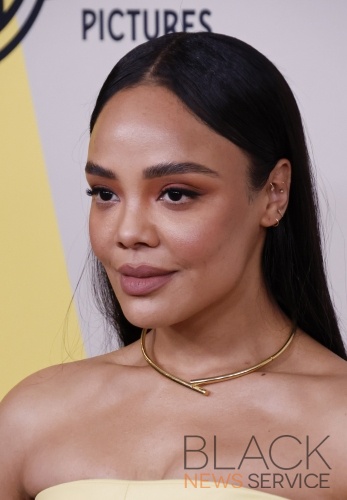 39th Annual Cinematheque Awards