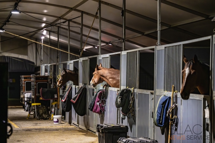 1S/T Split Rock Equestrian Show Jumping